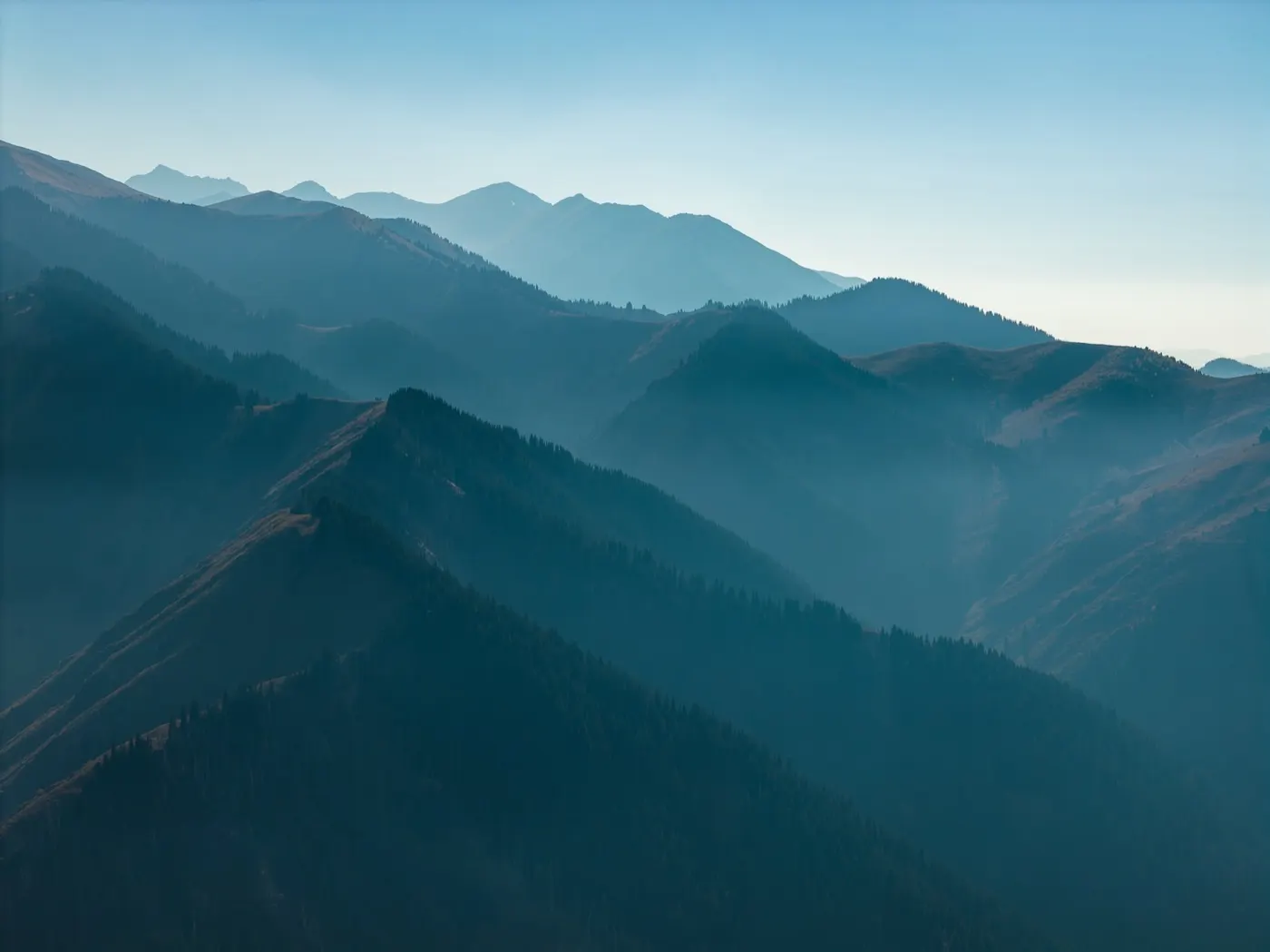 Morning mist drifting between forested mountain ridgelines
